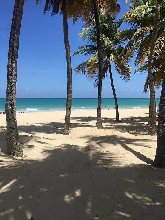 סן חואן Borinquen Beach Inn  סן חואן